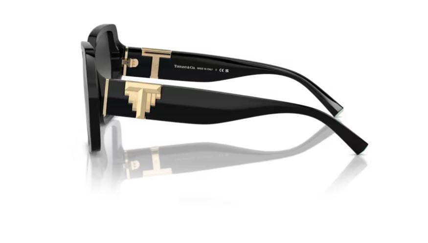 TIFFANY & CO TF4219 80013C - Black