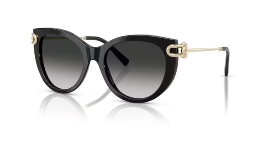 TIFFANY & CO TF4232 80013C-Black