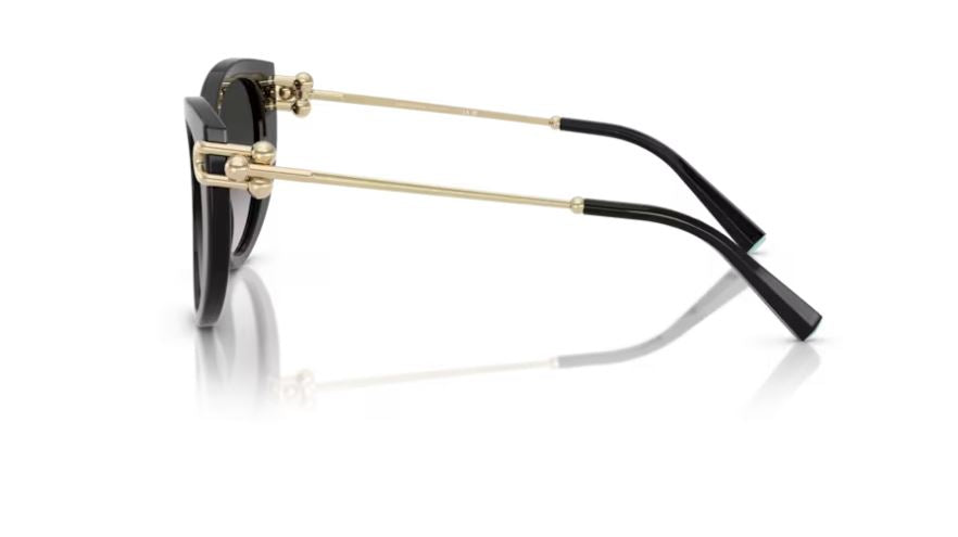 TIFFANY & CO TF4232 80013C-Black