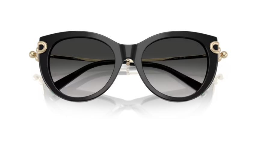 TIFFANY & CO TF4232 80013C-Black