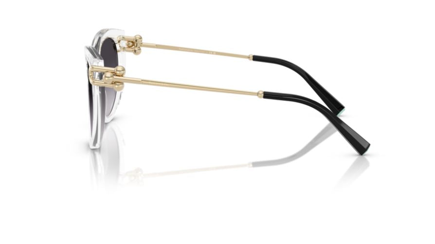 TIFFANY & CO TF4232 80473C-Clear