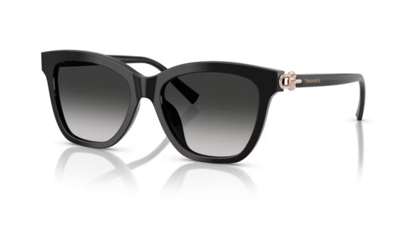 TIFFANY & CO TF4241D 80013C-Black