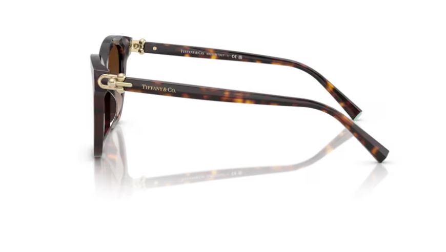 TIFFANY & CO TF4241D 80153B-Havana