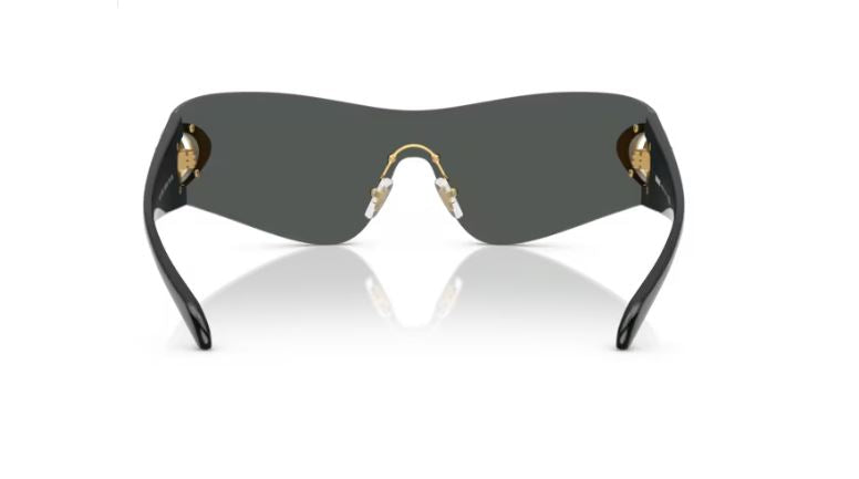 VERSACE VE2280 100287
