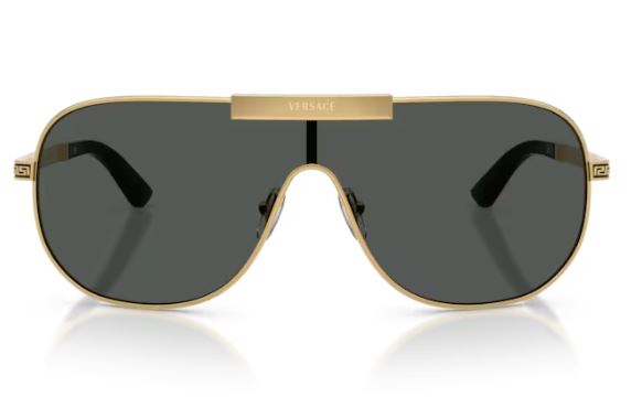 VERSACE VE2293 100287