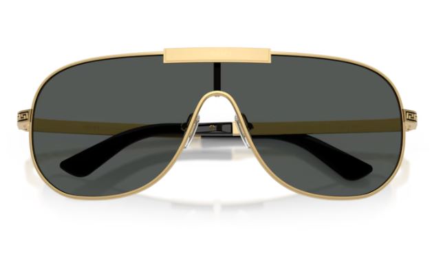 VERSACE VE2293 100287