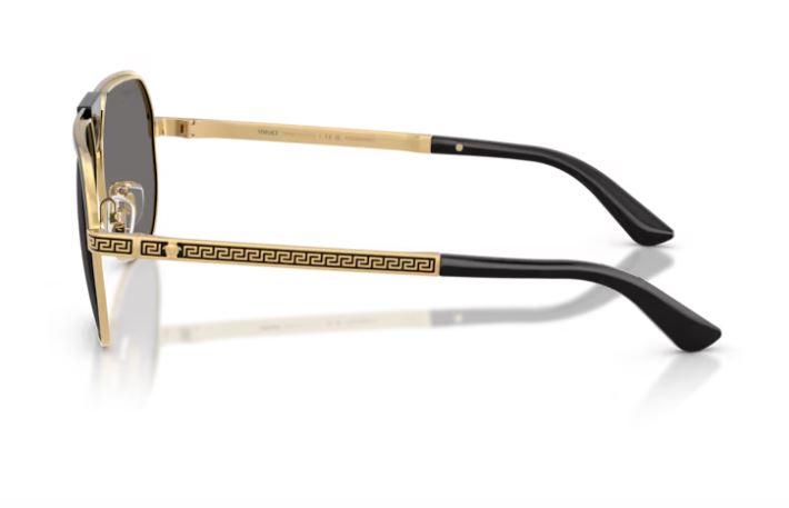 VERSACE VE2294 100281