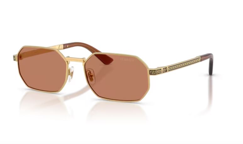 VERSACE VE2297 100273