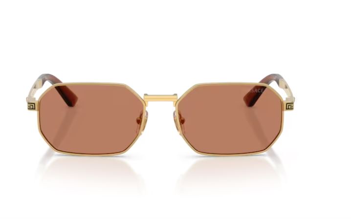 VERSACE VE2297 100273