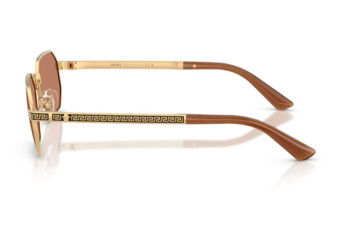 VERSACE VE2297 100273