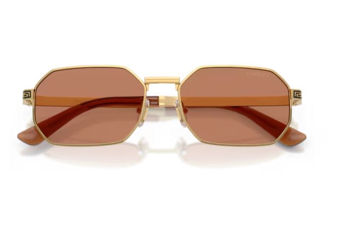 VERSACE VE2297 100273
