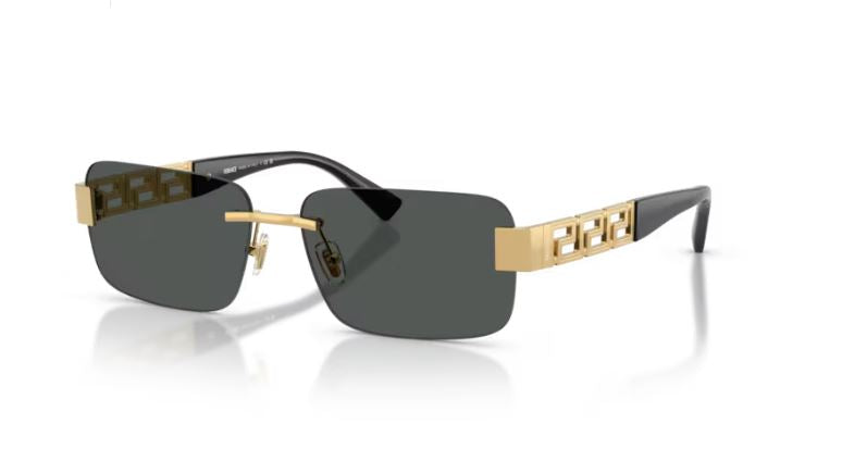 VERSACE VE2298 100287