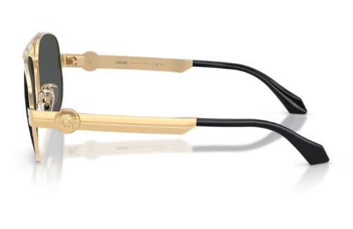 VERSACE VE2302 152387