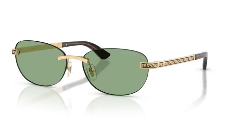 VERSACE VE2307 152382