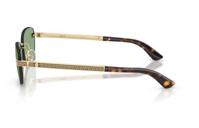 VERSACE VE2307 152382