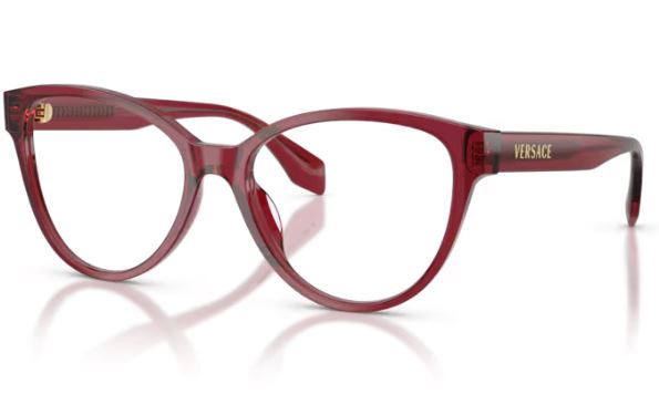 VERSACE VE3399U 388