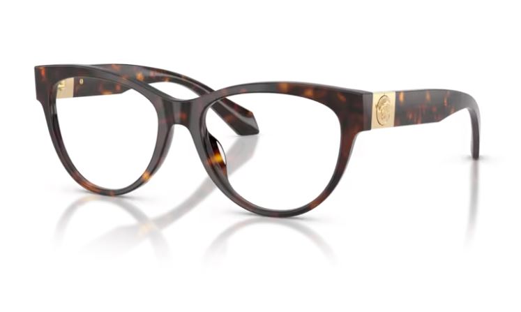 VERSACE VE3402U 108