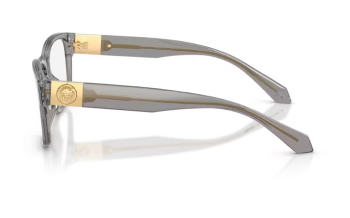 VERSACE VE3403U 5510