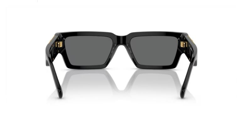 VERSACE VE4459 GB187