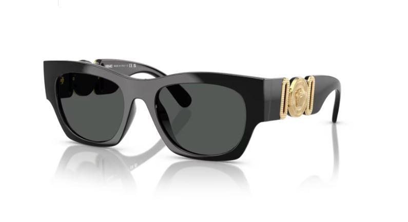 VERSACE VE4479U GB187