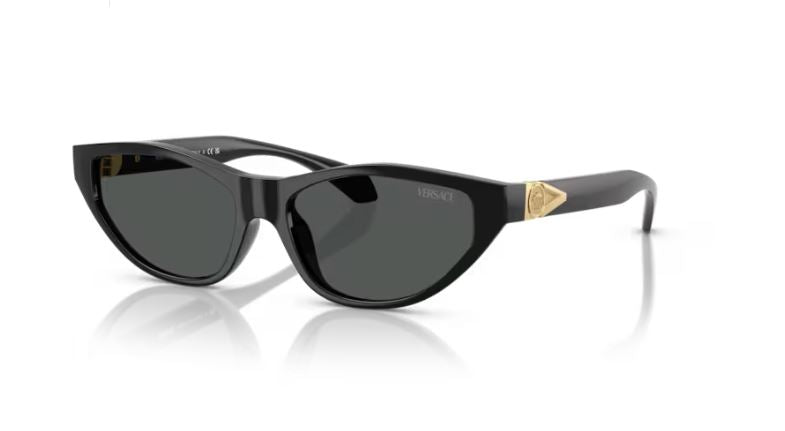 VERSACE VE4491U GB187