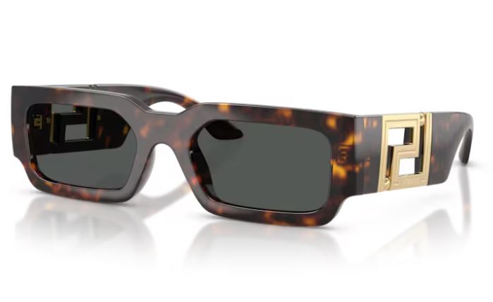 VERSACE VE4506U 10887
