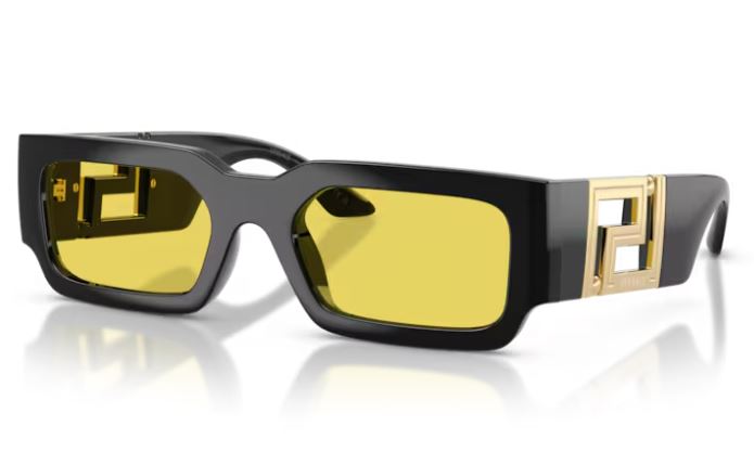 VERSACE VE4506U GB185