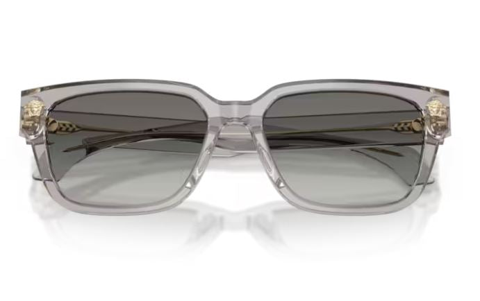 VERSACE VE4513D 59311