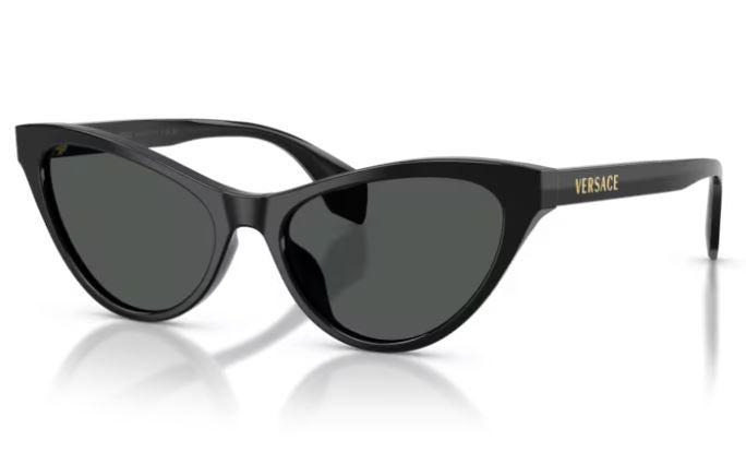 VERSACE VE4522U GB187