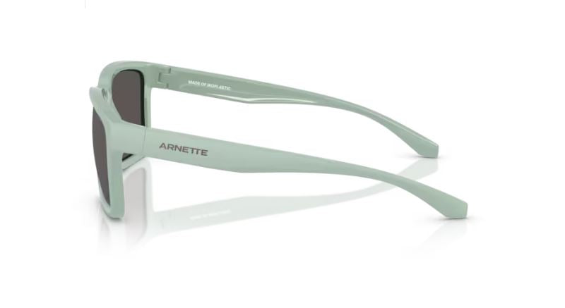 ARNETTE AN4346 296487 - Plot twist