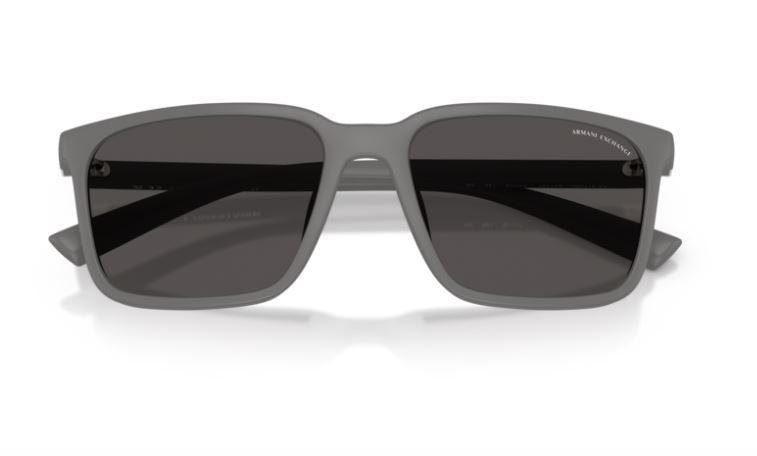 ARMANI EXCHANGE AX4172SU 841187