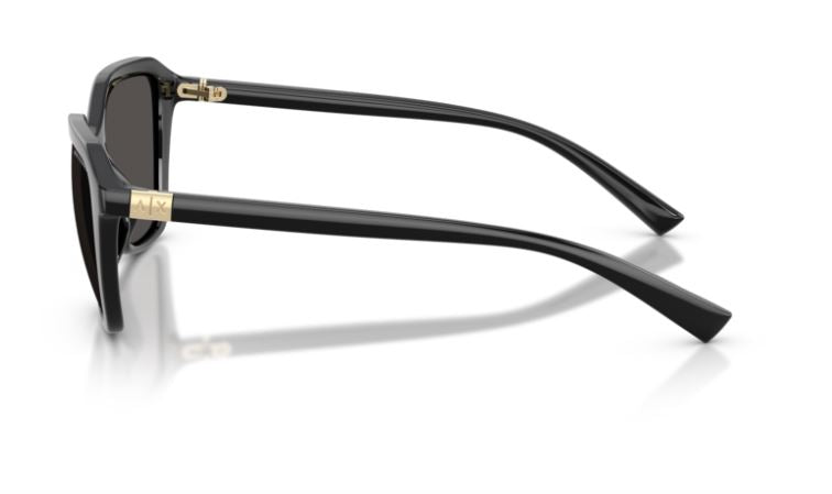 ARMANI EXCHANGE AX4173SU 815887