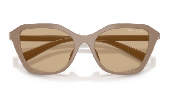 ARMANI EXCHANGE AX4173SU 841573