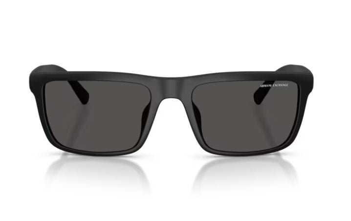 ARMANI EXCHANGE AX4174SU 807887