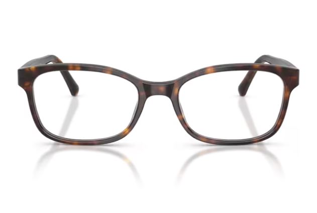 BURBERRY BE2201 3002