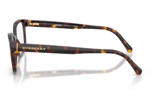 BURBERRY BE2201 3002