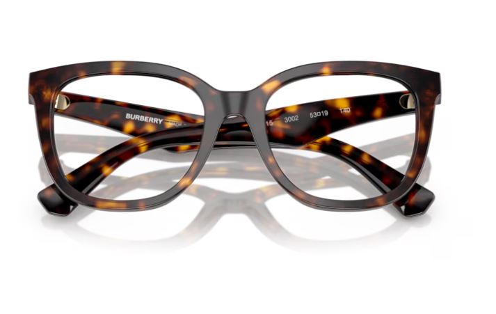 BURBERRY BE2415 3002