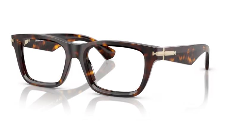 BURBERRY BE2419 3002