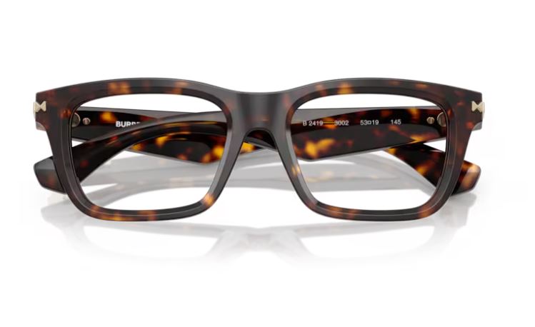 BURBERRY BE2419 3002