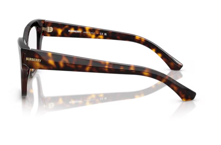 BURBERRY BE2420 3002