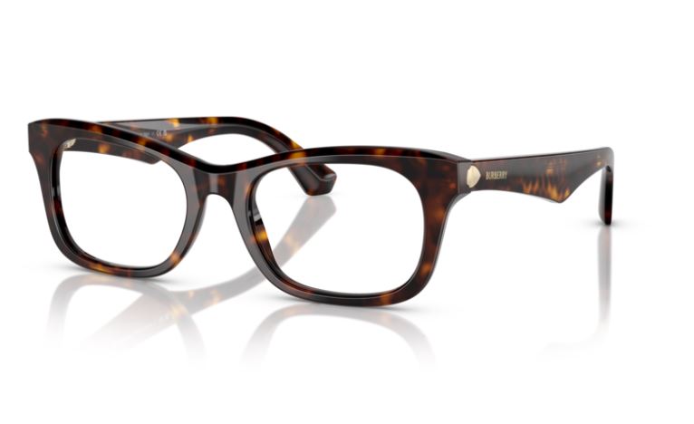 BURBERRY BE2422 3002