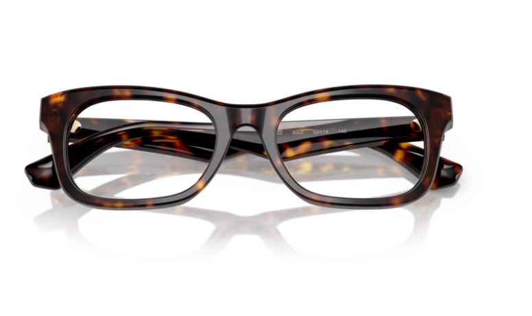 BURBERRY BE2422 3002