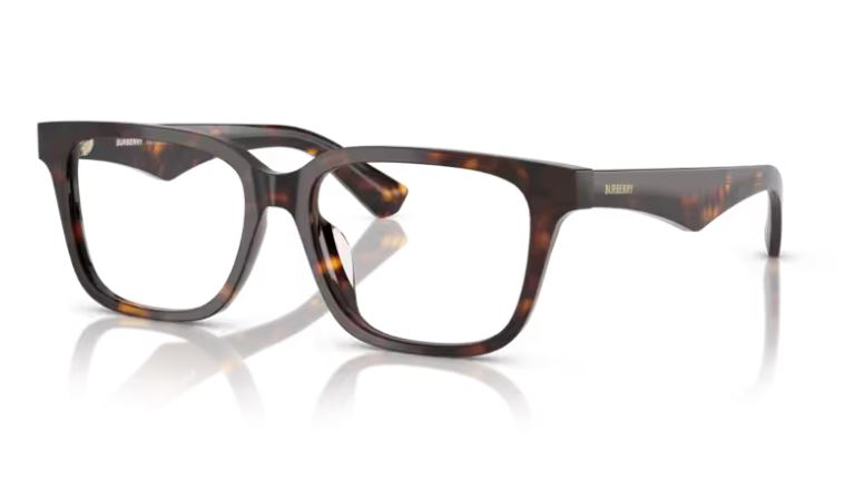 BURBERRY BE2425D 3002