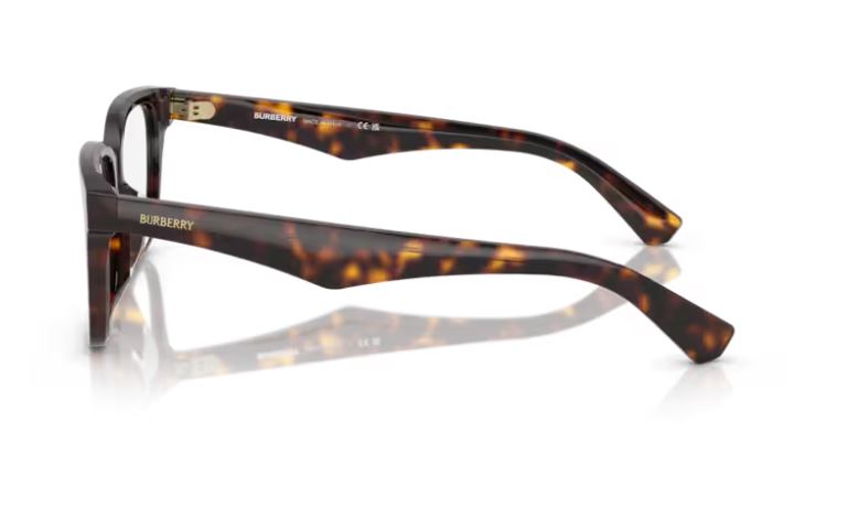 BURBERRY BE2425D 3002