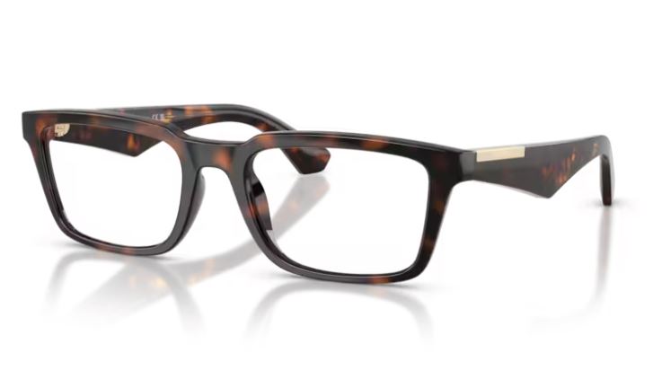 BURBERRY BE2428U 3002