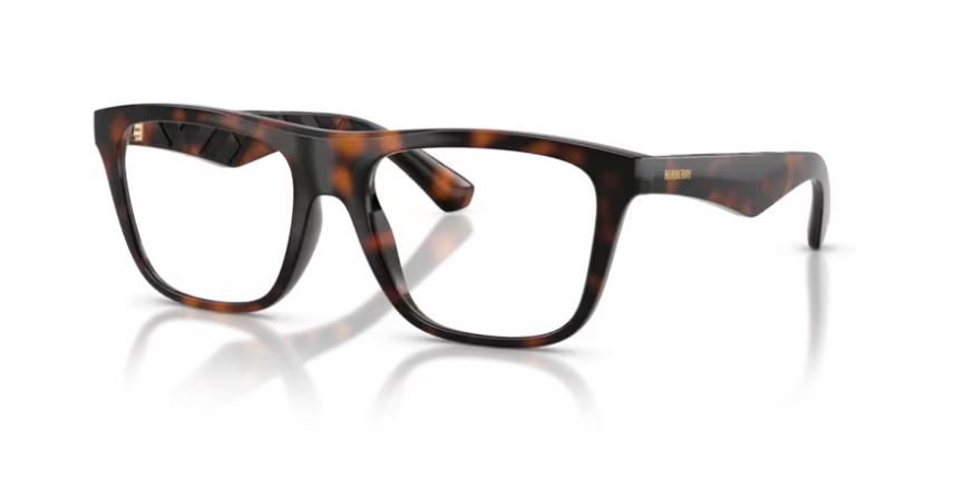 BURBERRY BE2432U 3002