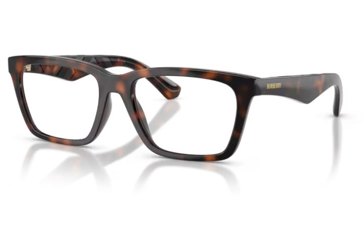 BURBERRY BE2446U 3002