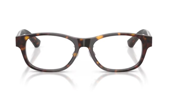 BURBERRY BE2449D 4205