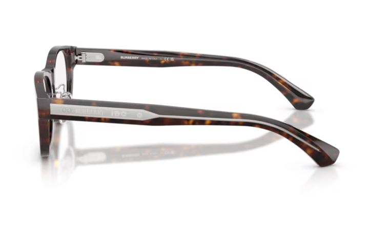 BURBERRY BE2449D 4205