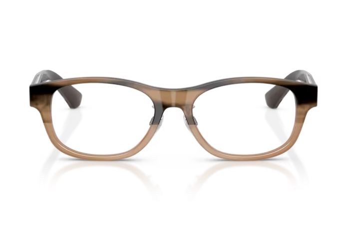 BURBERRY BE2449D 4207